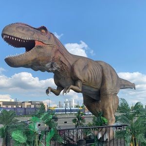 Meet your Posher, Wendy